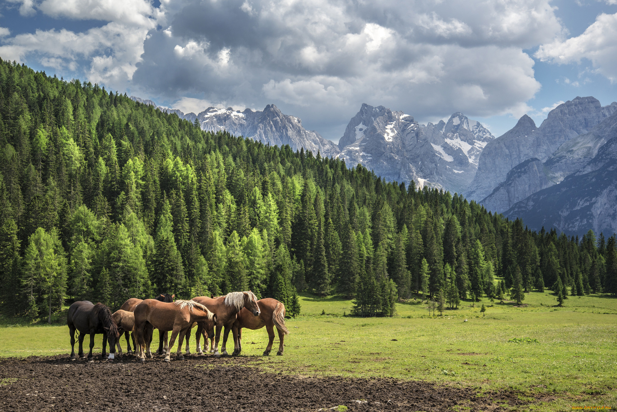 Horse valley